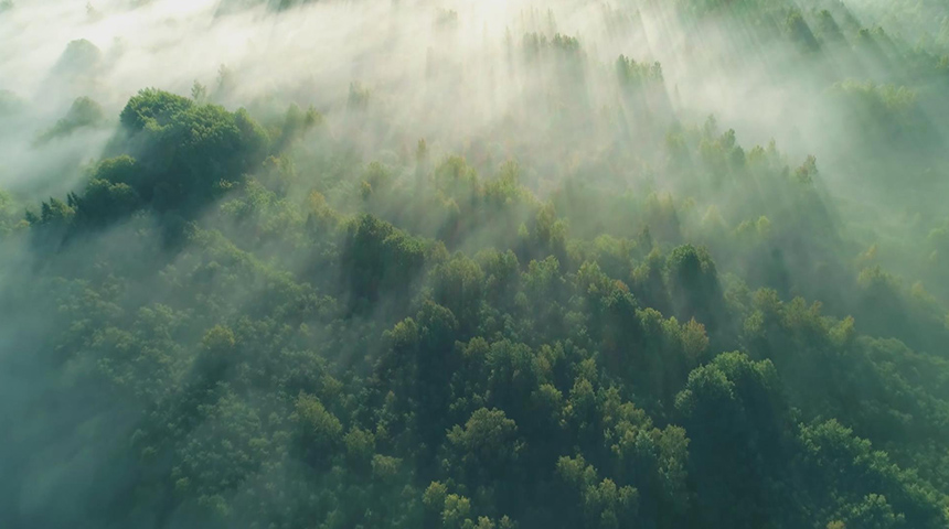 jdb电子全屋定制宣传片