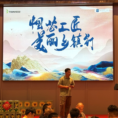 “中国芯工匠·美丽乡镇行”温州站圆满落幕：匠心筑梦，共绘温州乡镇新蓝图