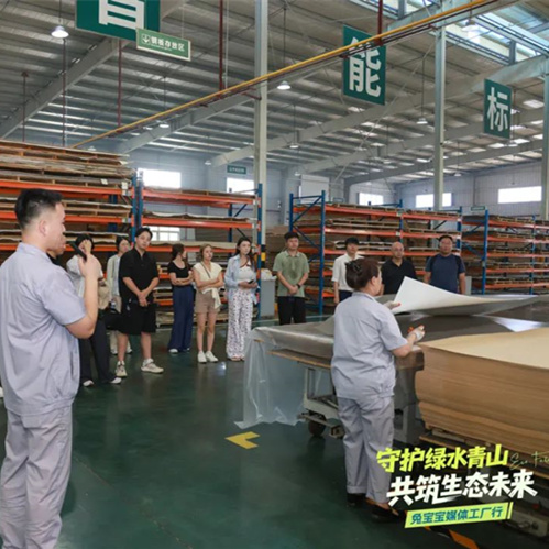 家居大咖为jdb电子点赞！揭秘绿色发展之路