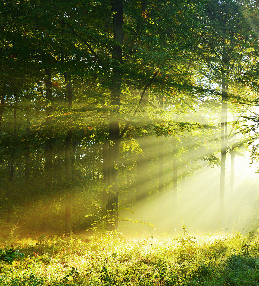 荣誉，来自认可