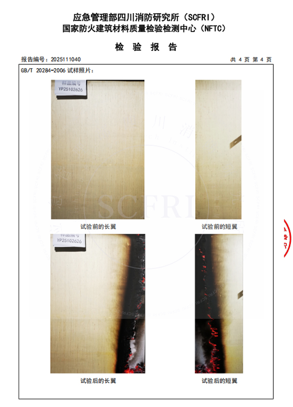 燃烧性能检测报告